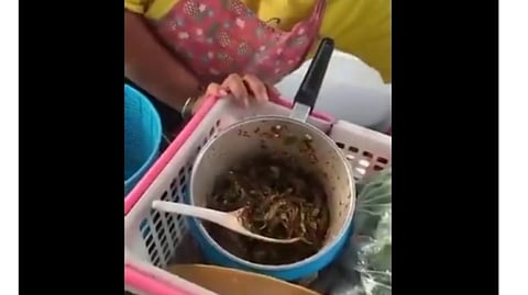 जीवंत माशांच्या चायनीज भेळपुरीचा व्हिडिओ व्हायरल