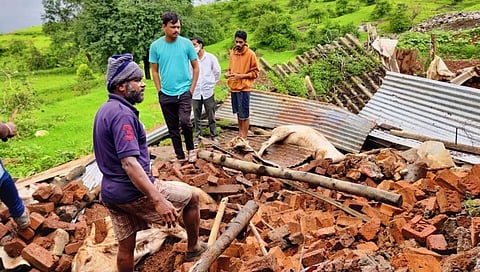 हृदयद्रावक! अंगावरती भिंत पडून दोन बैलांचा दुर्देवी मृत्यू