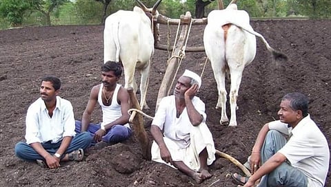 farmer