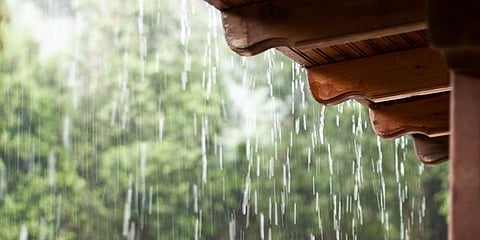 Rain News