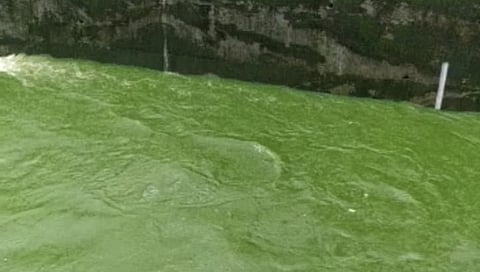 आधी हिरवा पाऊस, मग ऑइल मिश्रित पाऊस आणि आता हिरवागार नाला... (पहा व्हिडिओ)