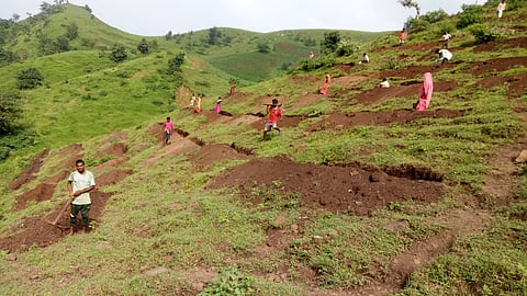 नंदुरबार जिल्ह्यात रोजगार हमी योजनेतंर्गत मजूरांना रोजगार उपलब्ध!