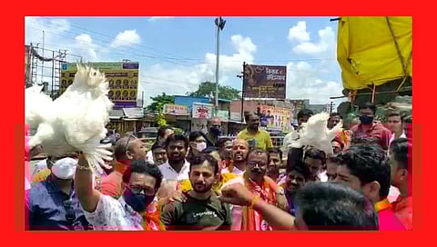 उस्मानाबादमध्ये शिवसेनेने कोंबड्या उडवल्या