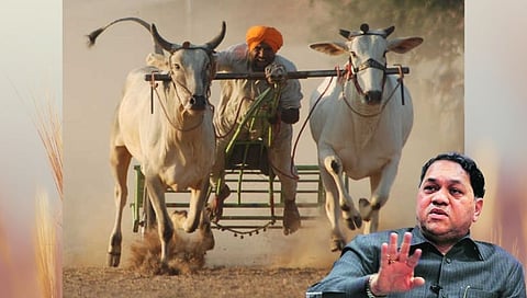 बैलगाडा शर्यतबंदी विरोधातील लढा न्यायालयीन मार्गानेच लढवा लागणार :- गृहमंत्री