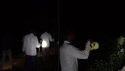 शेतकऱ्यांची वन्य प्राण्यांमुळे झोप उडाली; शेताला तार कुंपण करण्याची मागणी...