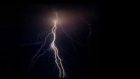 विजेचा धक्का लागून सात गायींचा मृत्यू; तार तुटल्याने घडली घटना