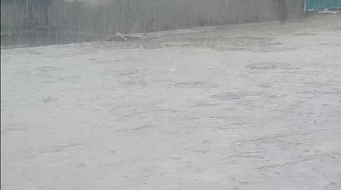 Rain