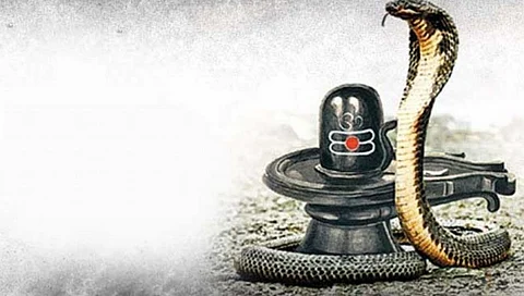 nagpanchami