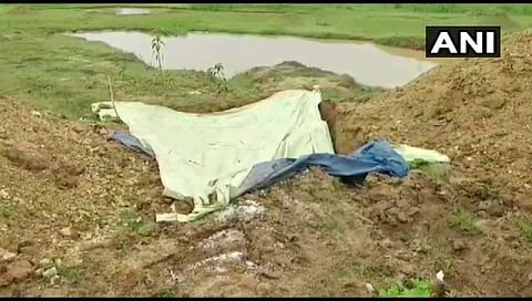 धक्कादायक ! आंध्रप्रदेशात ३०० भटक्या कुत्र्यांचा अचानक मृत्यू