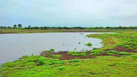 Shahapur waghola project