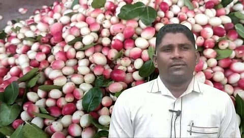 Farmer