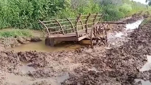 पाणंद रस्ता चिखलमय झाल्याने खते घेऊन जाणारी बैलगाडी चिखलात फसली