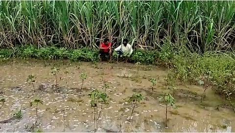 गुलाब चक्रीवादळाचे जालन्यात पडसाद, शेतीला तळ्याचे स्वरुप; पाहा Video