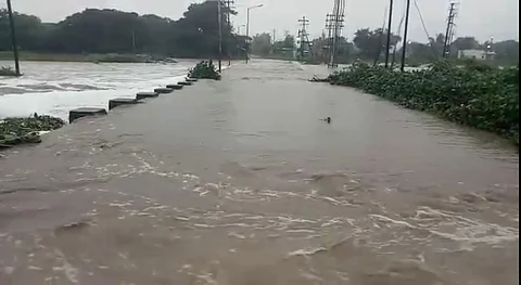 नगरमधील पावसाने सीना नदीही दुथडी.