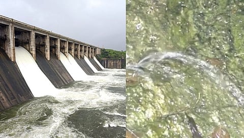Hingoli: येलदरी धरणाच्या संरक्षण भिंतीला तडे!