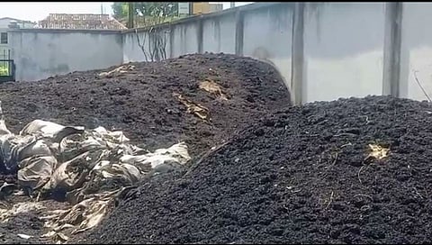 महापुरामुळे शासकीय गोदामातील खराब झालेल्या धान्याला सूटली दुर्गंधी