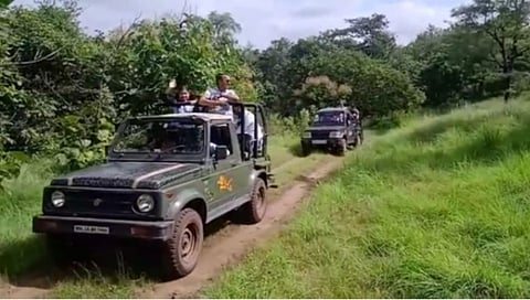 ज्ञानगंगा अभयारण्यातील जंगल सफारीचा लाभ घेण्याचे आवाहन...