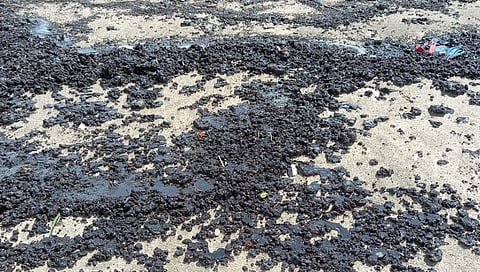 अलिबाग समुद्र किनारा काळवंडला; किनाऱ्यावर दीड किलोमीटर पर्यत तेलाचा तवंग