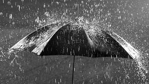 Maharashtra Weather: IMD कडून 4 जिल्ह्यांना अतिवृष्टीचा इशारा