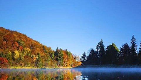 International Clean Air Day: का साजरा करतात? जाणून घ्या...