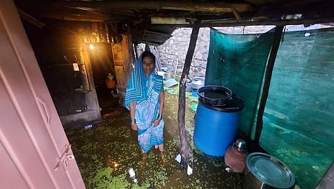 उत्तर सोलापुरात पावसाचा मोठा तडाखा; शेतीचे प्रचंड नुकसान