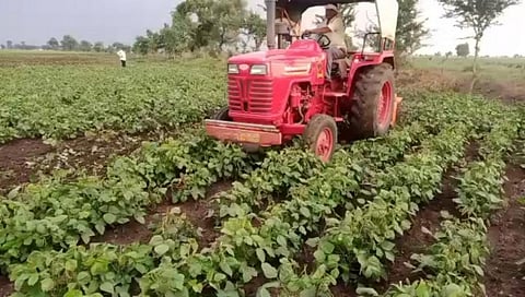 ...म्हणून अकोल्यातील शेतकऱ्यांनी फिरवले उभ्या पिकांवरती ट्रॅक्टर!