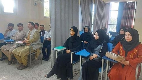 तालिबानचा खरा चेहरा समोर! महाविद्यालयात मुला -मुलींमध्ये लावला पडदा