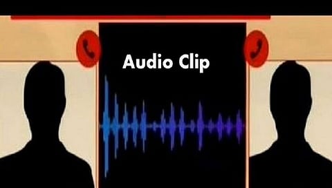 Audio Clip