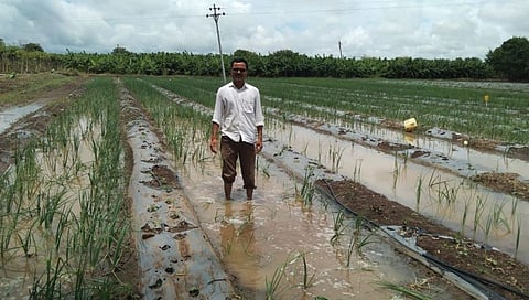 Parbhani; हेक्टरी पन्नास हजाराची मदत द्या, शेतकऱ्यांची मागणी