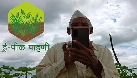 ई-पीक पाहणी शेतकऱ्यांना ठरतेय डोकेदुखी; जाणूण घ्या कारण...