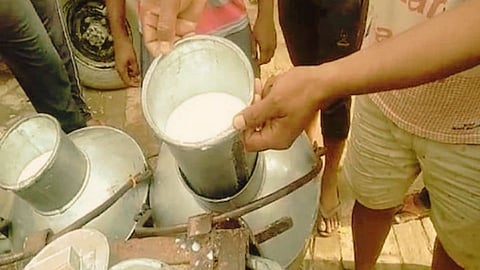 Milk Rate Latest News