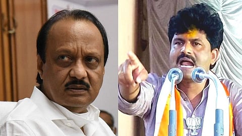 गोपिचंद पडळकरांचा आरोप