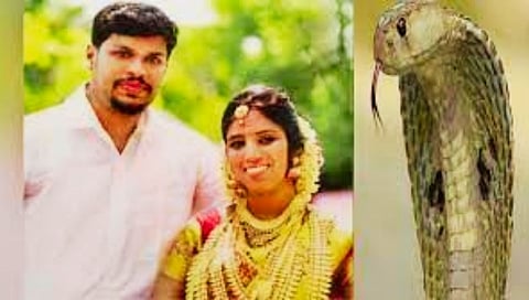 अमानवी कृत्य! बायकोची हत्येसाठी नवऱ्याने खोलीत सोडला 'कोब्रा'