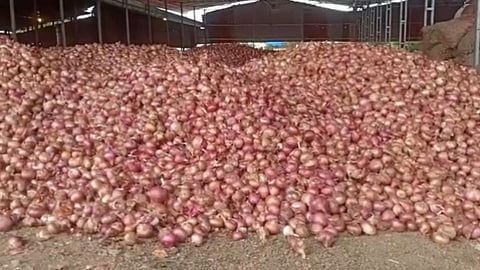 Nashik: कांदा व्यापाऱ्यांवर IT चे छापे; १०० कोटींची बेहिशेबी मालमत्ता