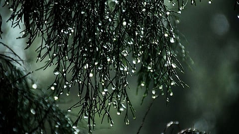 Weather: पुढील 2 दिवस मेघगर्जनेसह पाऊस; 'या' जिल्ह्यांना IMD अलर्ट