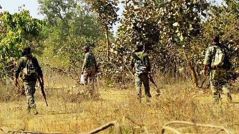 गडचिरोली पोलिसांचे नक्षलवाद्यांवर ' सर्जिकल स्ट्राइक'; 'अशी' राबवली मोहीम