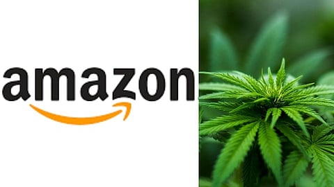 कढीपत्त्याच्या नावाखाली Amazon वरून 1 टन ड्रग्सची तस्करी; रॅकेटचा पर्दाफाश!