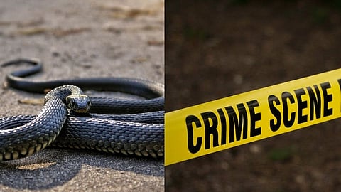 सापाच्या आमिषाने बोलावून केला घात; कोल्हापुरातील माजी सैनिकाचा बुलडाण्यात खून