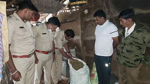 गांजा