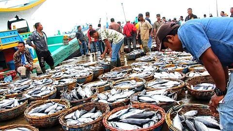 तब्बल ४० वर्षांनंतर राज्यातील मच्छीमारांसाठी नवा कायदा!