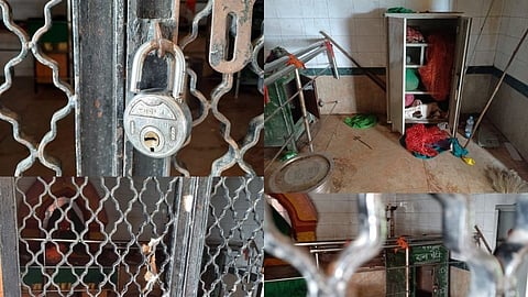 नवसाला पावणार्या रेणुका देवीची दानपेटीवर चोरट्यांचा डल्ला; बीडमध्ये खळबळ