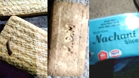 School : विद्यार्थ्यांच्या जीवाशी खेळ; शालेय पोषण आहारातील बिस्किटांमध्ये आढळल्या अळ्या