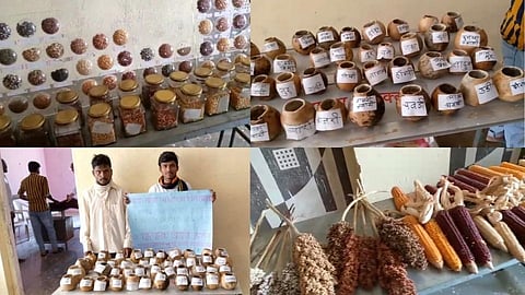 नंदुरबार : धडगाव येथे पारंपारिक बी-बियाण्यांचे प्रदर्शन