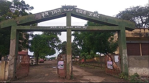 Akola Agriculture News