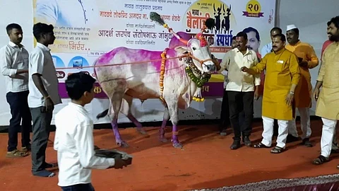 Maval News