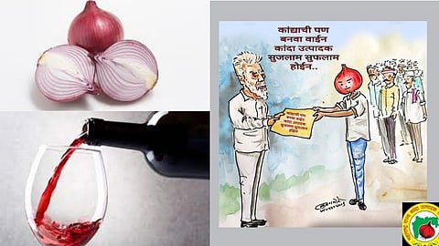 Onion Wine Demand By Farmer