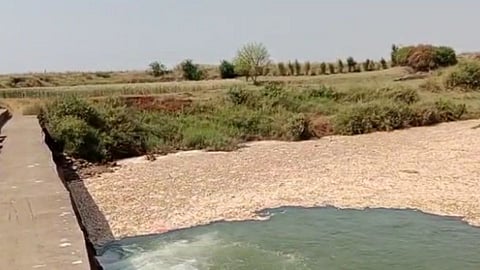 Panchganga River