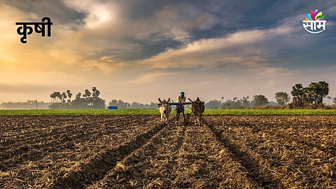 Shinde Government News