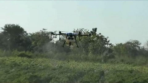 Drone will spray pesticides on crops