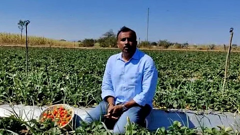Agriculture